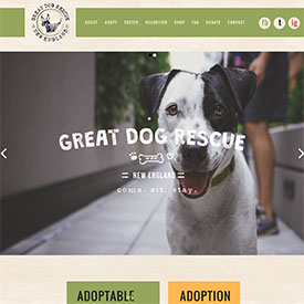 Great Dog Rescue New England