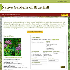 Native Gardens of Blue Hill Plant Database