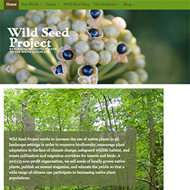 Wild Seed Project: Returning Native Plants to the Maine Landscape